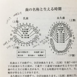 乳歯記録