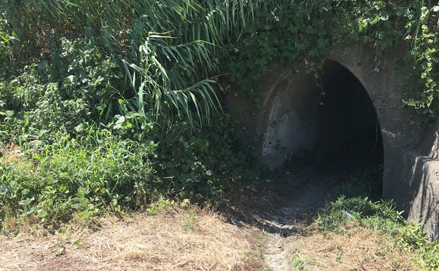 畑へのトンネル