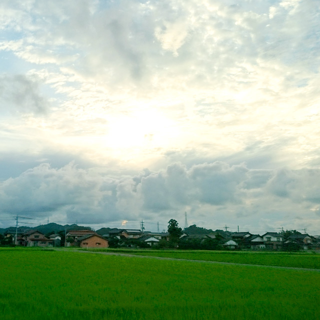 平野